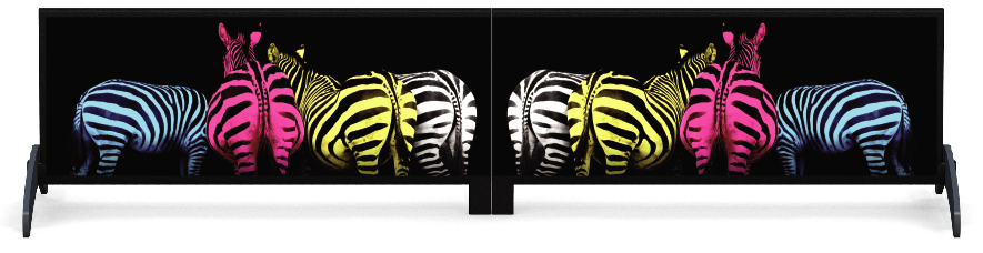 Fillers > Standing Solid Filler > Colourful Zebras