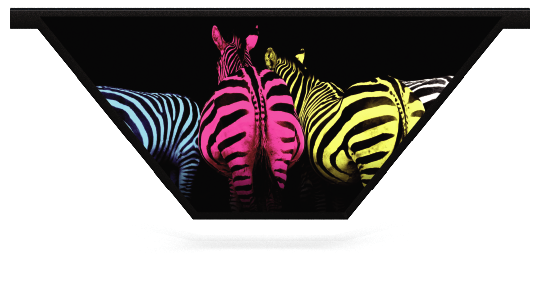 Fillers > V Filler > Colourful Zebras